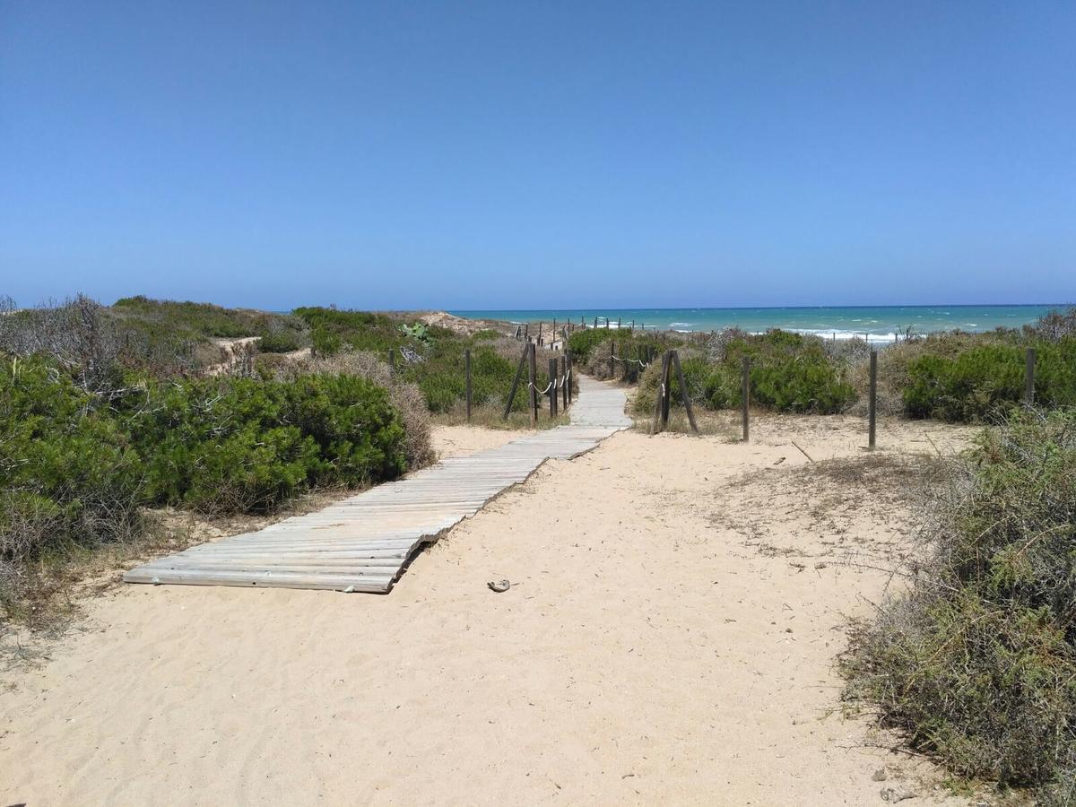 Luxury And Modern Beach Apartment With Sea Views La Mata  Eksteriør bilde